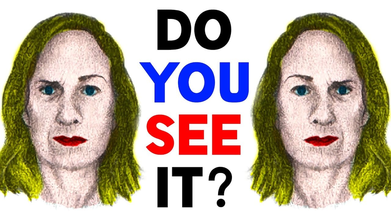 The illusion that broken the internet