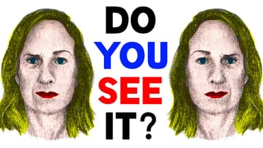 The illusion that broken the internet