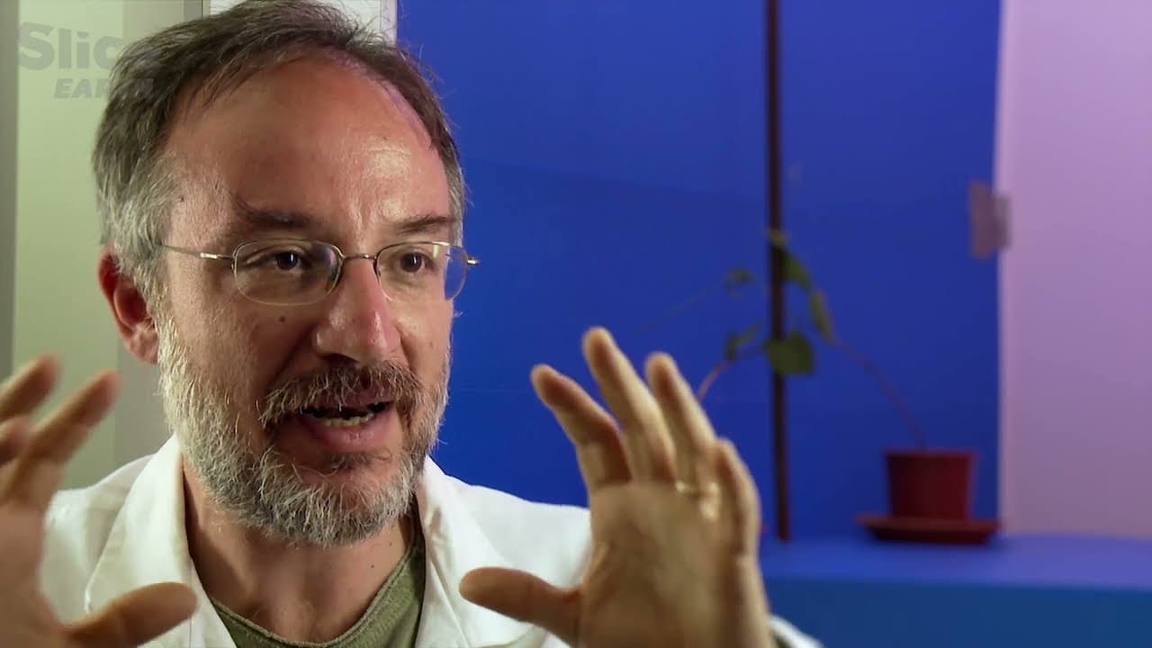 Highlighting initial discoveries in plant interactions