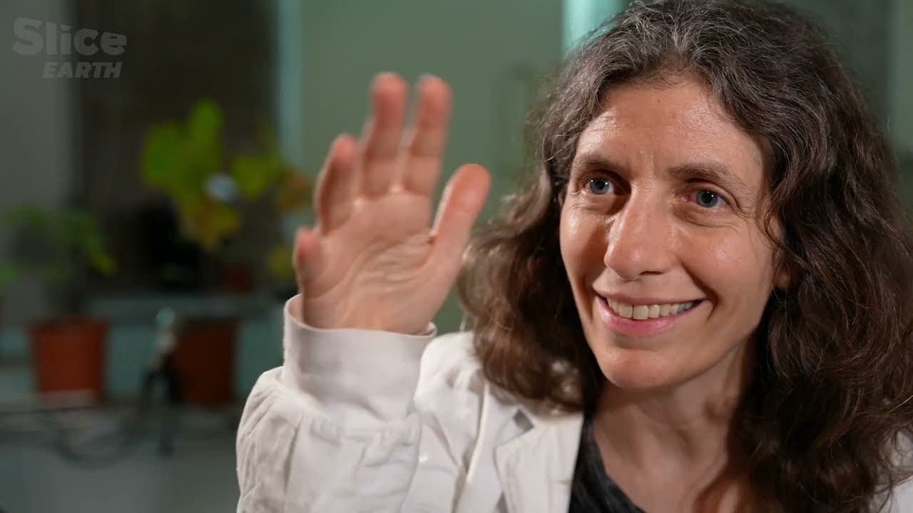 Emphasizing networks and environmental exchanges