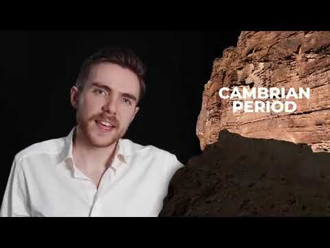 Connecting massive erosion to bursts of life development