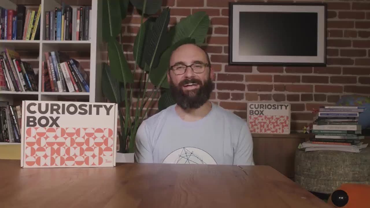 Final reflections on simples and disturbances