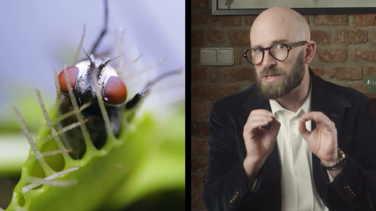 Transformations in nature and science