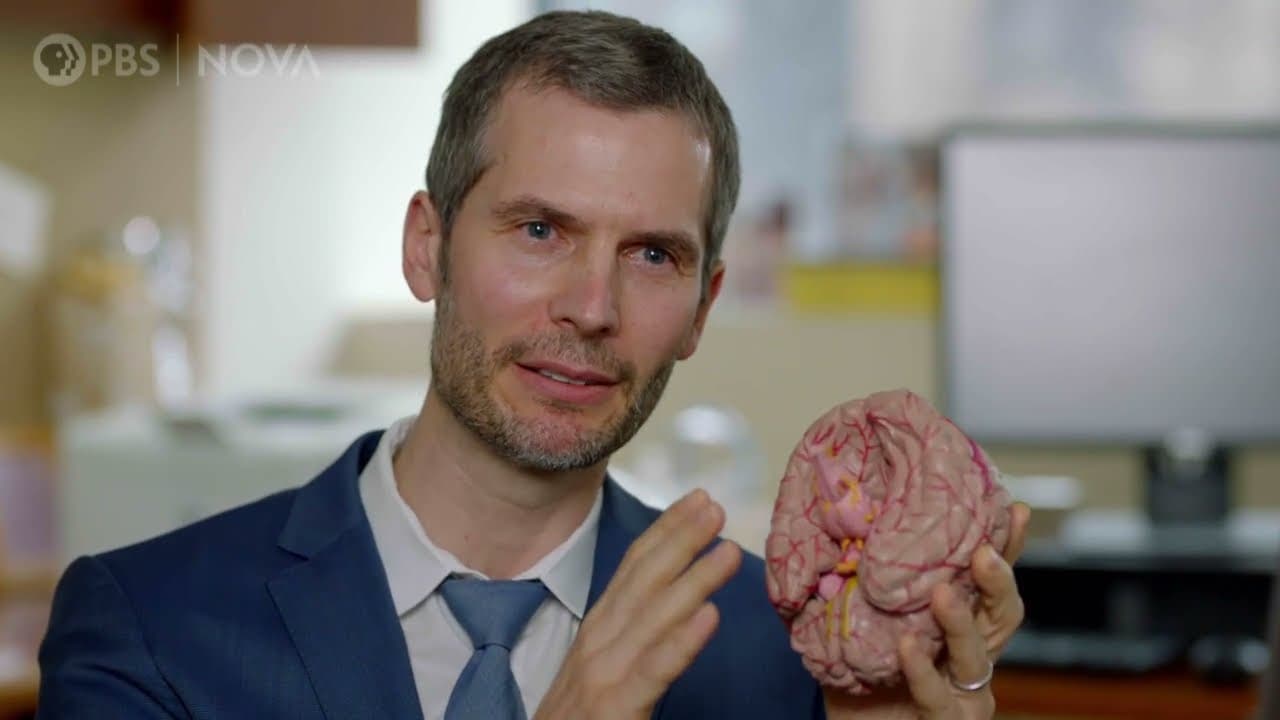 Emotions shaping everyday decision-making